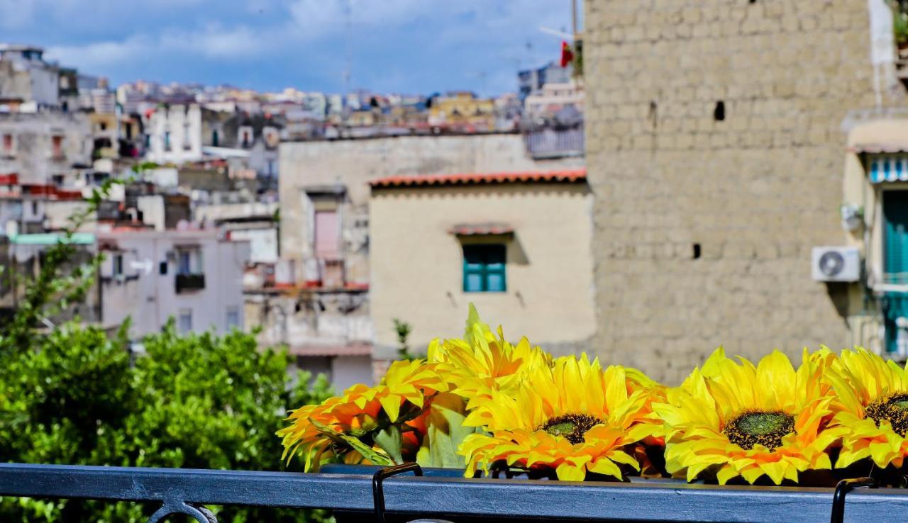 Terra Mia Savoia Bed & Breakfast *